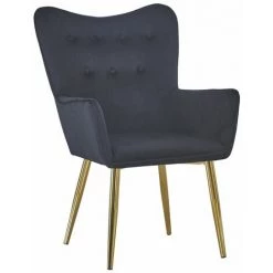 Paris Prix - Fauteuil Scandinave Velours "dolna" 100cm Noir