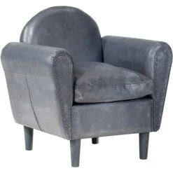 HAPPYSHOPPING Fauteuil Tube Gris 77x65x79 Cm Cuir Veritable