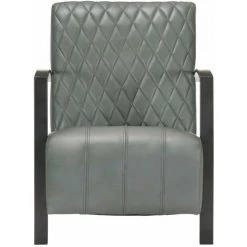 HAPPYSHOPPING Fauteuil Gris Cuir Veritable -Pas Cher Fauteuil Magasin 39701973 2