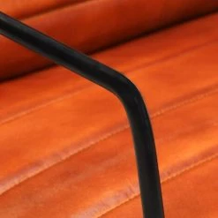 HAPPYSHOPPING Fauteuil Brun Roux Cuir Veritable 8 HAPPYSHOPPING Fauteuil Brun Roux Cuir Veritable -Pas Cher Fauteuil Magasin 40200284 2