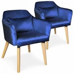 Paris Prix - Lot De 2 Fauteuils Design Velours "nari" 70cm Bleu