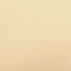 Chaise De Relaxation Velours Blanc Crème VidaXL -Pas Cher Fauteuil Magasin 45788961 2