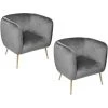 Lot De 2 Fauteuils Leria Gris Atmosphera -Pas Cher Fauteuil Magasin 46283233 1