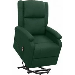 Fauteuil Inclinable Tissu Vert Foncé VidaXL