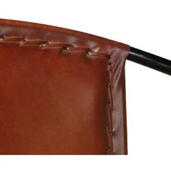 NOVA Détendez-vous Chaise En Réalité En Cuir Moderne En Cuir Moderne Couleurs élégantes Différentes Couleurs Chaise Marron Cuir Véritable Couleur : Marron -Pas Cher Fauteuil Magasin 57095148 4