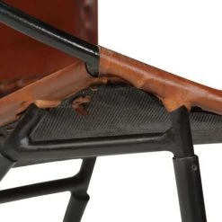 NOVA Détendez-vous Chaise En Réalité En Cuir Moderne En Cuir Moderne Couleurs élégantes Différentes Couleurs Chaise Marron Cuir Véritable Couleur : Marron -Pas Cher Fauteuil Magasin 57095148 5